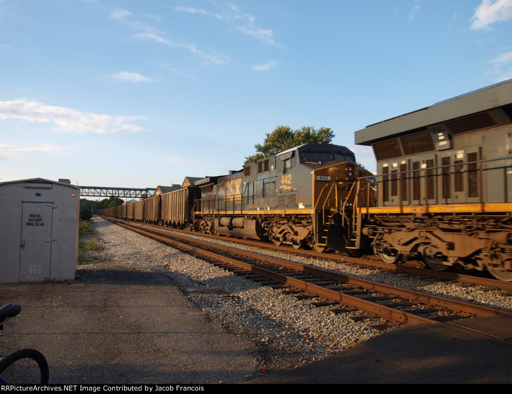 CSX 442